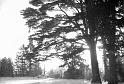 1969-12_029bw