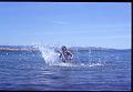 1972-07_008_diapos_3200dpi_ICE004