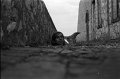 1974-11_019_3200