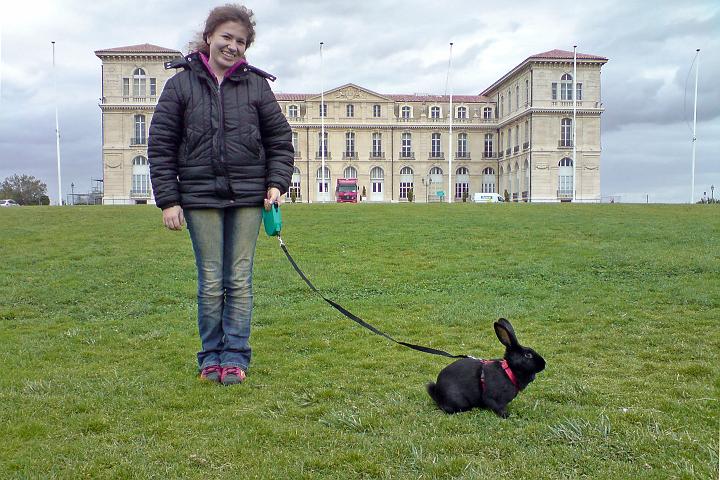 2008-04-20_13h52m38r.jpg - Un lapin au Pharo !