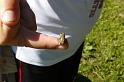2008-07-15_16h51m22