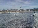2008-11-21_15h26m16
