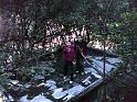 DSC00714r