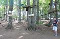 2008-07-30_15h19m56