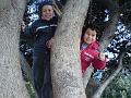 2009-03-06_15h48m06