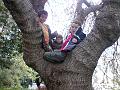 2009-04-11_15h55r27