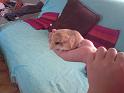 2009-10-04_17h32m19