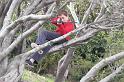 2009-11-15_15h30m18
