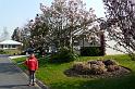 2010-04-12_16h19m28