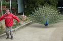 2010-04-13_10h55m38