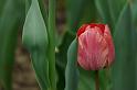 2010-04-13_11h12m42