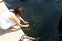 2010-09-02_15h36m56