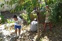2010-09-05_14h42m37