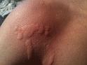 2010-09-05_16h29m06
