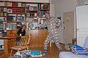 2010-11-10_19h23m02r2