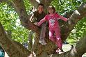 2011-05-08_16h01m14