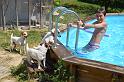 2011-05-21_15h34m44