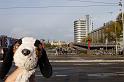 2012-11-04_09h39m16