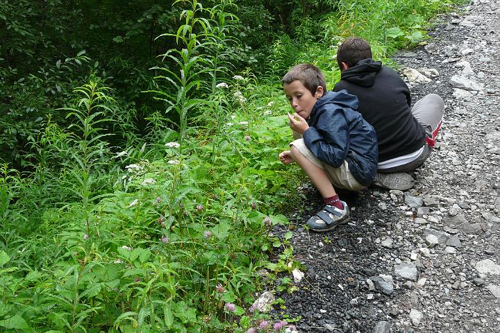 2008-07-17_16h36m14.jpg - Hum, des fraises des bois !...
