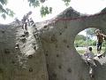 2008-07-12_14h58m24