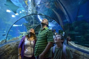 Sea Life Aquarium